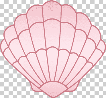 almeja concha dibujo, conchas marinas, Reino libre, sitio web, imágenes de conchas marinas png