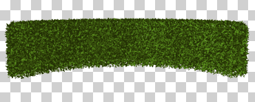 seto césped artificial césped rectángulo, hierba verde, bonita, hierba, manzana verde png