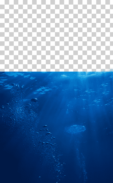 ilustración de agua, agua de mar océano mar profundo, mares, azul, mamífero marino, trullo png