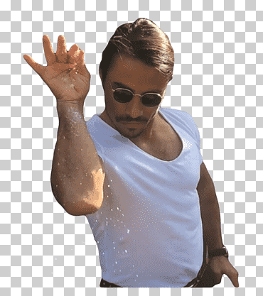 mujer levantando la mano, sal bae, memes, memes mixtos, mujer png