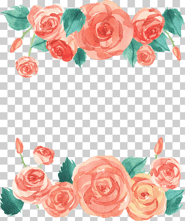 rosa rosa marco, acuarela pintura vector, acuarela pintada a mano rosa frontera, frontera, hojas de acuarela, arreglos florales png