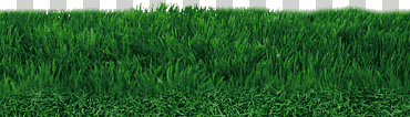 campo de hierba verde, césped césped artificial del campo de fútbol, ​​campo, textura, hierba, color png