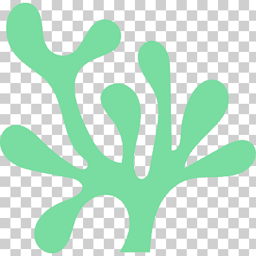 algas algas plantas acuáticas, planta, hoja, mano, rama png