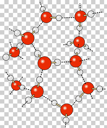 enlace de hidrógeno agua carga parcial enlace químico, hidrógeno, comida, química, talón png