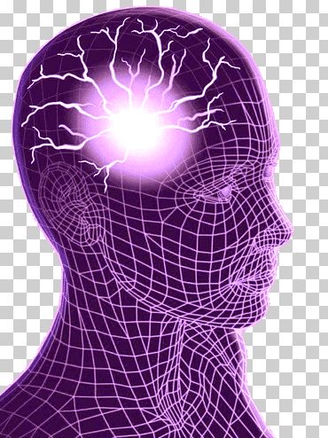 epilepsia convulsiones epilépticas convulsiones reflejas cerebrales tipos de crisis, enfoque, púrpura, Violeta, gente png