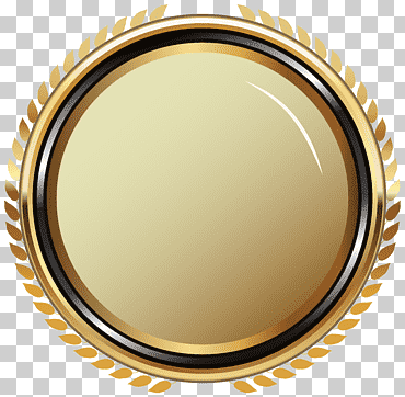 insignia, insignia ovalada de oro, logotipo redondo amarillo, medalla, insignias y etiquetas, metal png