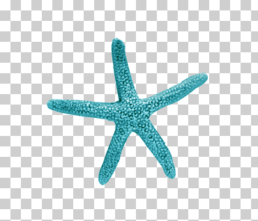 trullo estrellas de mar, estrellas de mar azul mar turquesa, estrellas de mar, azul, animales, naranja png