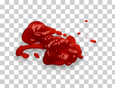 fuente de sangre del organismo, salsa de tomate, rojo, sangre, organismo png