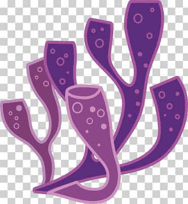 Ilustración de coral púrpura, arrecife de coral, algas euclidianas, coral de color púrpura profundo del mar, Violeta, magenta, coral png