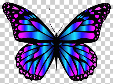 mariposa color púrpura azul, mariposa púrpura, púrpura, azul, animales png