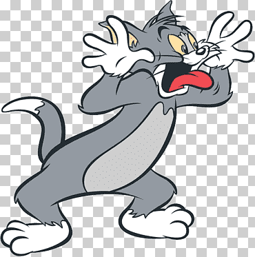 tom tom, jerry mouse tom and jerry, tom and jerry, mamífero, héroes, gato como mamífero png