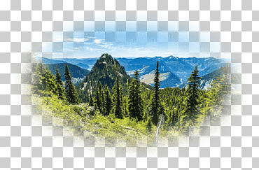 árbol bosque escritorio escritorio metáfora monte paisaje, árbol, Canadá, paisaje, Fondo de escritorio png