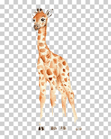 Jirafa marrón, jirafa del oeste de África, acuarela, dibujo, vivero, jirafa bebé, tarjeta de anuncio de bebé, niño, mamífero png