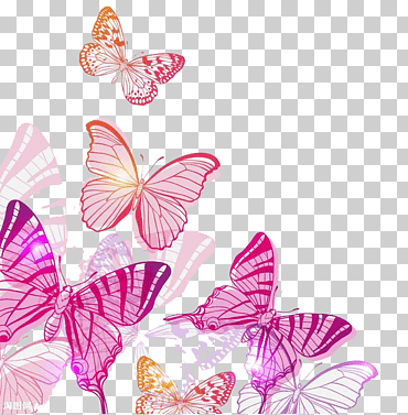 Mariposa, mariposa rosa, rosa y naranja mariposas ilustración, pintura de acuarela, púrpura, Violeta png