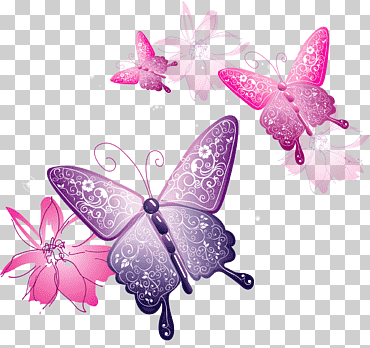 Mariposa, mariposa decorativa, rosa y púrpura mariposas ilustración, mariposa patas de pincel, lila, producto png