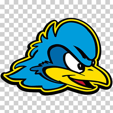 universidad de delaware delaware fightin  'blue hens men' s basketball delaware fightin  'blue hens football delaware fightin ' blue hens mujeres  'basketball delaware fightin ' blue hens hockey sobre césped, diverso, deporte, Universidad png