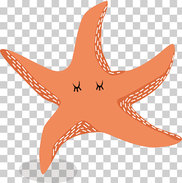 estrella de mar euclidiana, estrella de mar roja, animales, mano, naranja png
