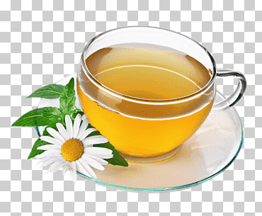 té verde té de hierbas bebida manzanilla, té, comida, café, té png