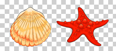 dibujos animados de playa, estrella de mar, pintado, animales, mano png