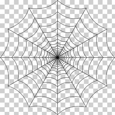 tela de araña, fondo de tela de araña, ángulo, animales, hoja png