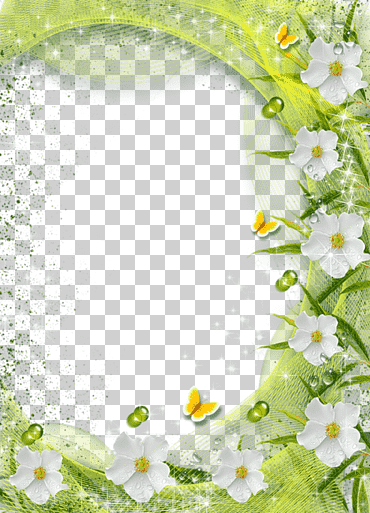 إطار زهرة بتلة بيضاء ، إطار زهرة ، إطار زهرة أبيض الخلفية, ترتيب الزهور, أبيض, صورة تنسيقات الملفات png
